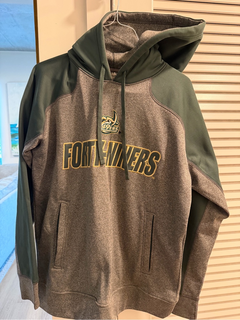 UNC Charlotte 49ers Menβs Hooded Sweatshirt - Gray & Green